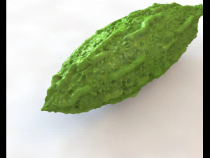 Bitter Gourd 3D Model