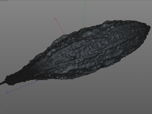 Bitter Gourd Modello 3D