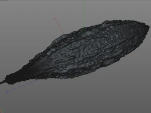 Bitter Gourd 3D Model
