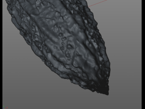 Bitter Gourd Modello 3D