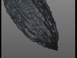 Bitter Gourd 3D Model