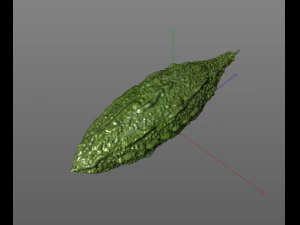 Bitter Gourd 3D Model
