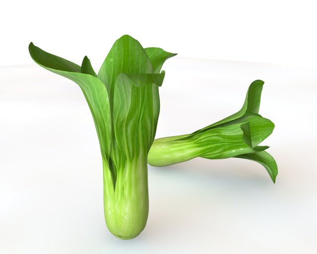 bok choy 3D Model .c4d .max .obj .3ds .fbx .stl .blend 