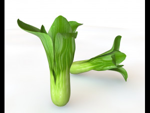 bok choy 3D Model