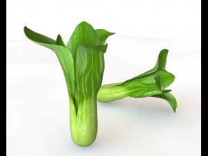 bok choy Model 3D