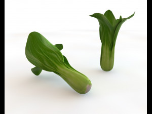 bok choy 3D Model