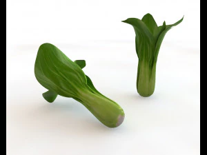 bok choy 3D Model