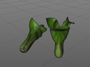 bok choy 3D Model