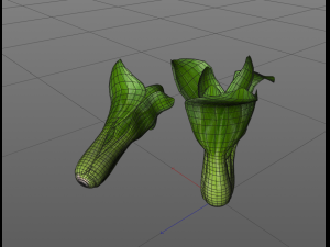 bok choy 3D Model