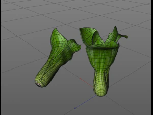 bok choy 3D Model