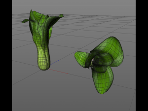 bok choy 3D Model