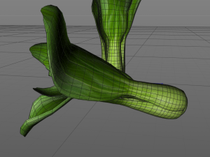 bok choy 3D Model