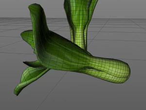 bok choy 3D Model