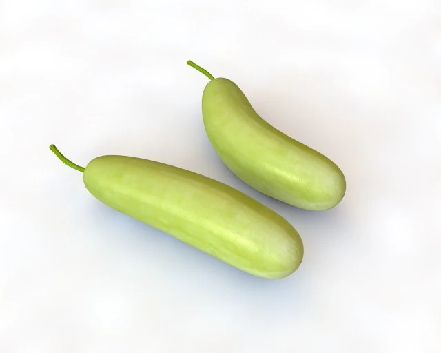 bottle gourd 3D Model .c4d .max .obj .3ds .fbx .stl .blend 