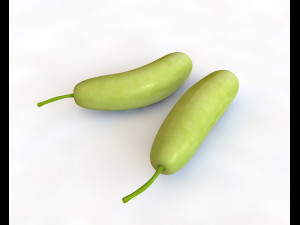 bottle gourd Model 3D