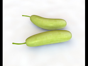 bottle gourd Model 3D