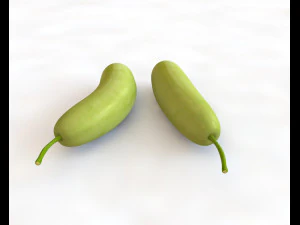 bottle gourd 3D Model