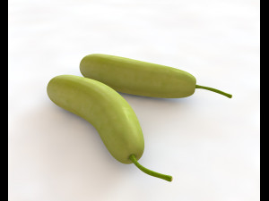 bottle gourd Model 3D