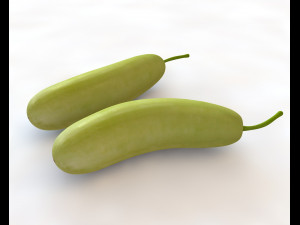 bottle gourd Model 3D