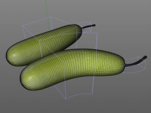 bottle gourd 3D Model
