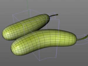 bottle gourd 3D Model