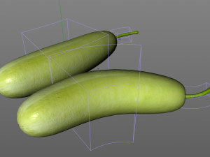 bottle gourd Model 3D