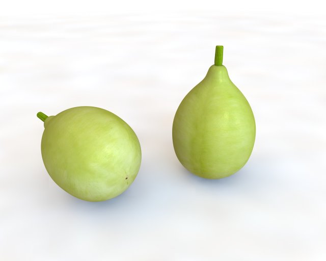 round gourd 3D Model .c4d .max .obj .3ds .fbx .stl .blend 