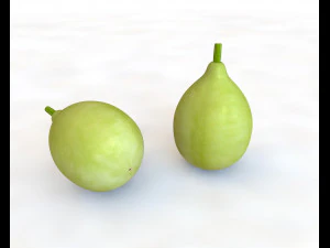 okrągła tykwa Model 3D