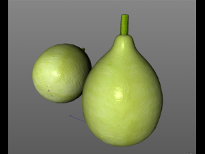 round gourd 3D Model
