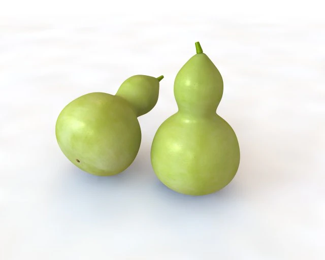 round neck gourd 3D Model .c4d .max .obj .3ds .fbx .stl .blend