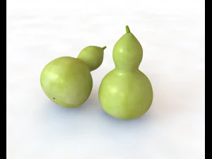 гарбуз з круглим горлечком 3D Модель