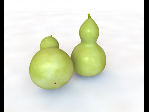 round neck gourd Model 3D