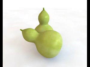 round neck gourd 3D Model