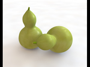 round neck gourd Model 3D