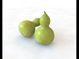 round neck gourd Model 3D