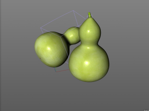 round neck gourd Model 3D
