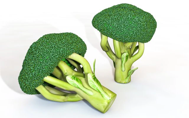 broccoli 3D Model .c4d .max .obj .3ds .fbx .stl .blend