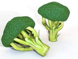 broccoli 3Dモデル
