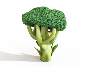 broccoli 3D Model