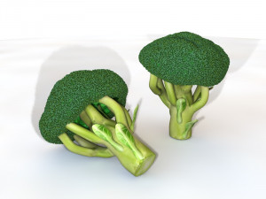 broccoli Modèle 3D