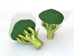 broccoli 3D Model