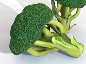 broccoli Modèle 3D