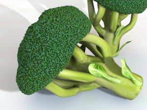 broccoli 3D Model