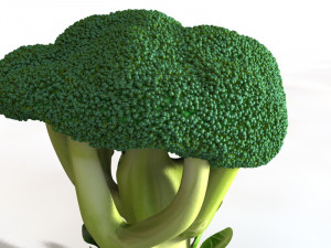 broccoli Modèle 3D