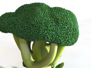 broccoli 3D Model