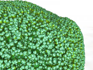 broccoli 3D Model