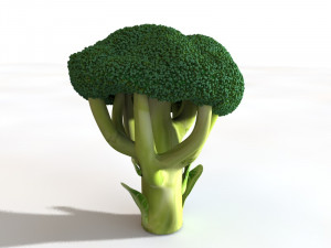 broccoli Modèle 3D
