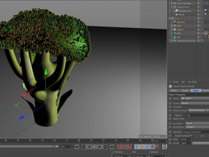 broccoli Modèle 3D
