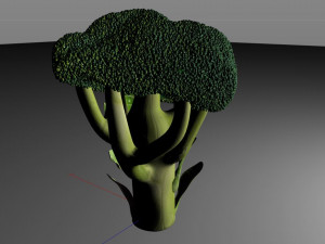 broccoli Modèle 3D