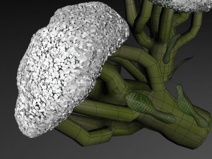 broccoli Modèle 3D